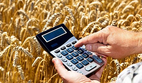 Снижена налоговая нагрузка на малый бизнес в сельском хозяйстве 